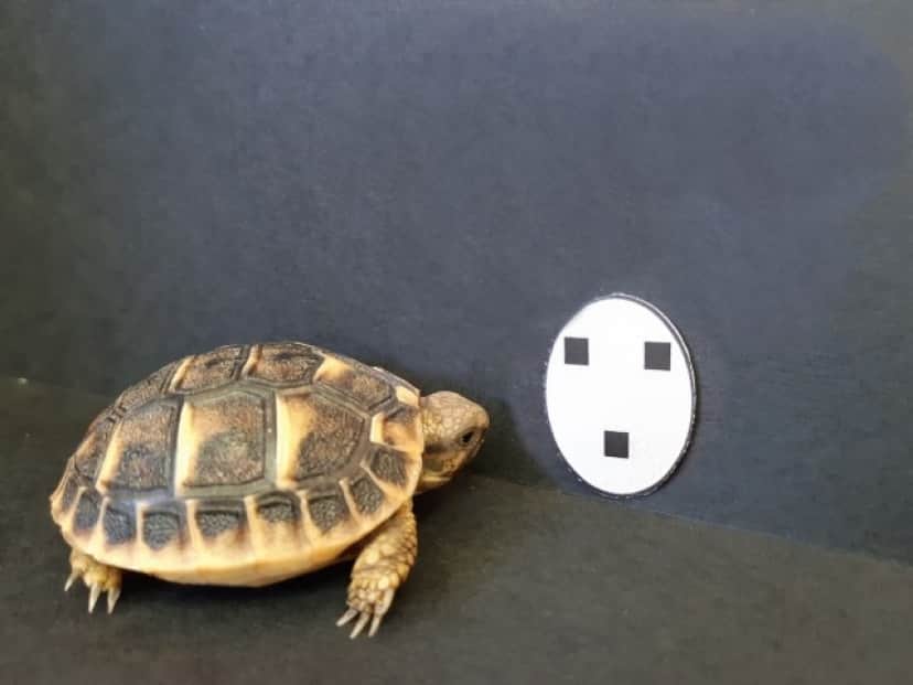 1_e8
