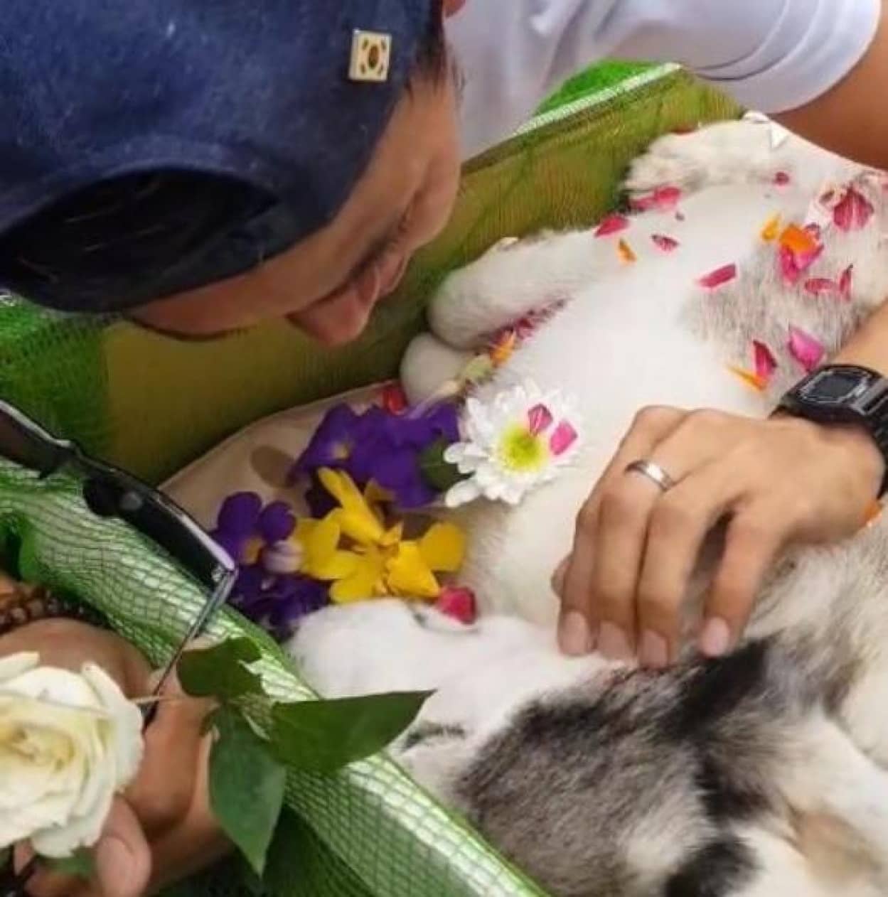 愛犬との別れがつらすぎて お棺の中の犬から離れられない若き男性 フィリピン カラパイア