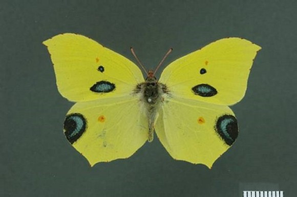 8_e5
