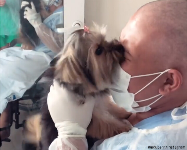 愛犬が生きる勇気を与えてくれた。入院中に飼い主と1か月ぶりの再会