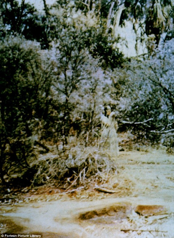 1_e11