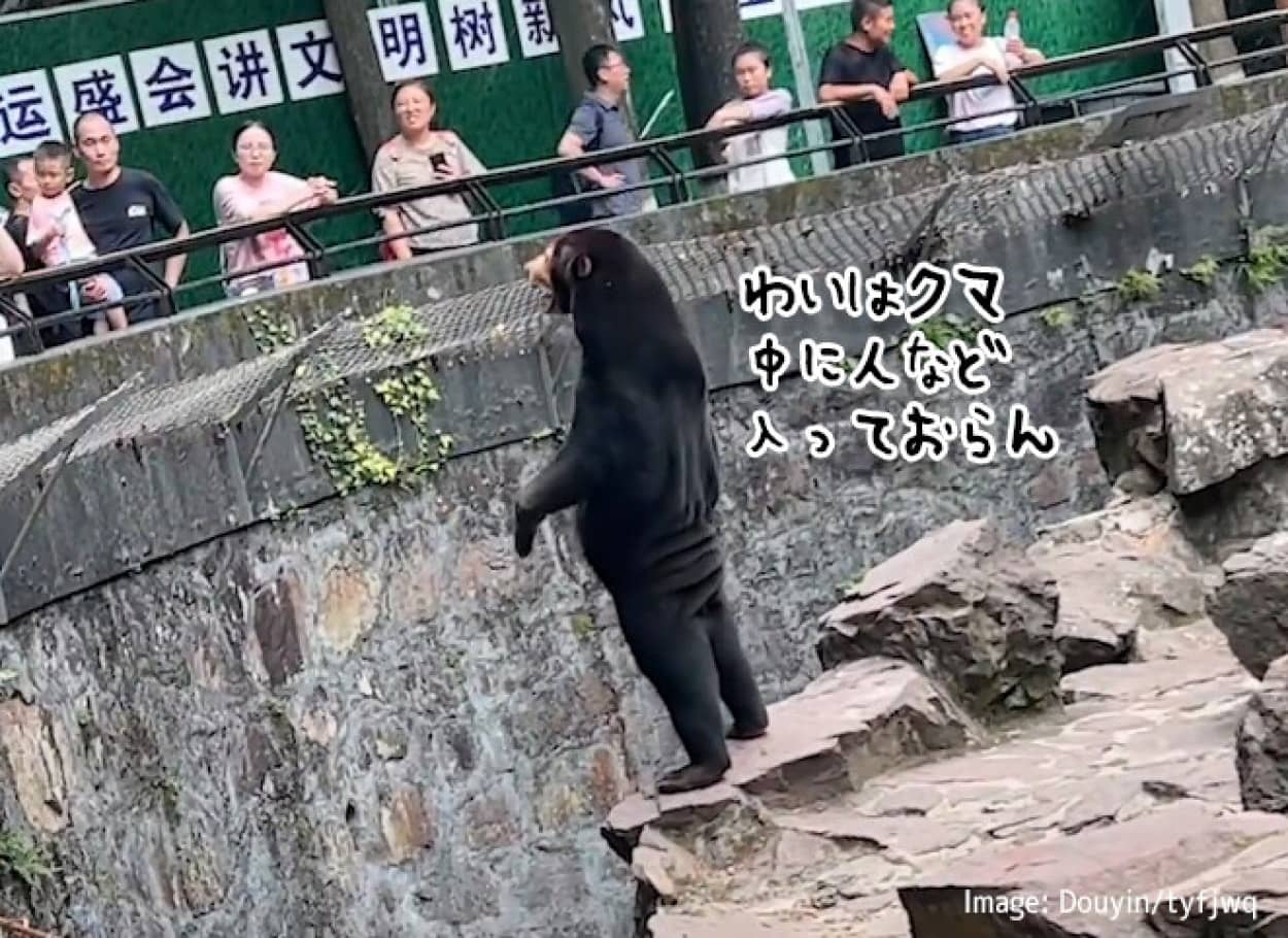 中に人疑惑のクマ、動物園側がが完全に否定