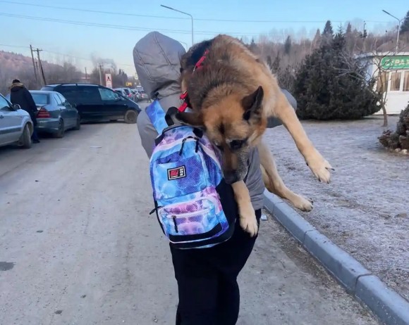 年老いた大型犬を抱きかかえ、国境目指して17kmの道のりを歩くウクライナの避難民