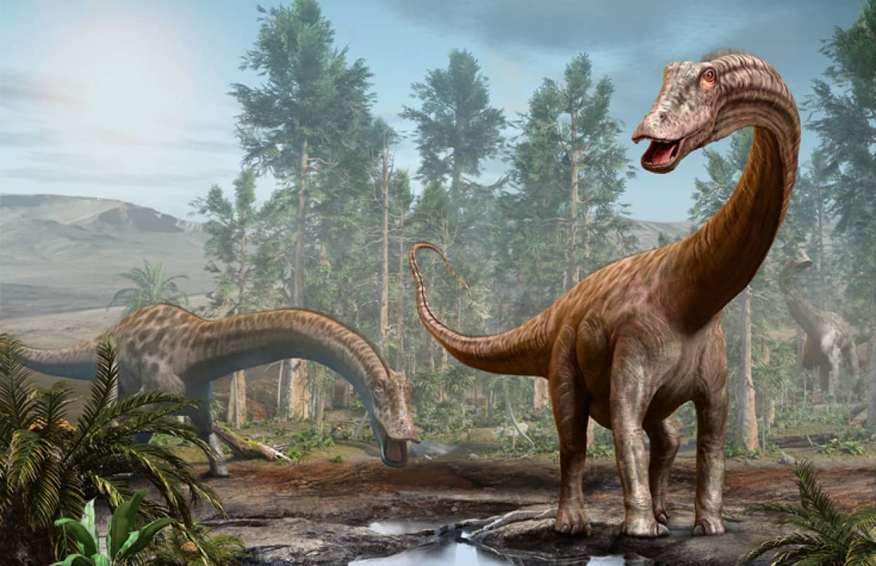 ディプロドクスのような巨大植物食恐竜は、肉食恐竜の子孫だったことが判明