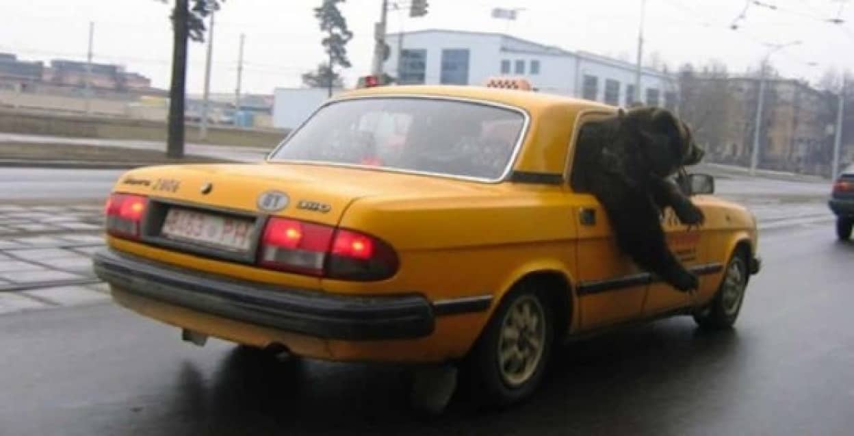 10_e
