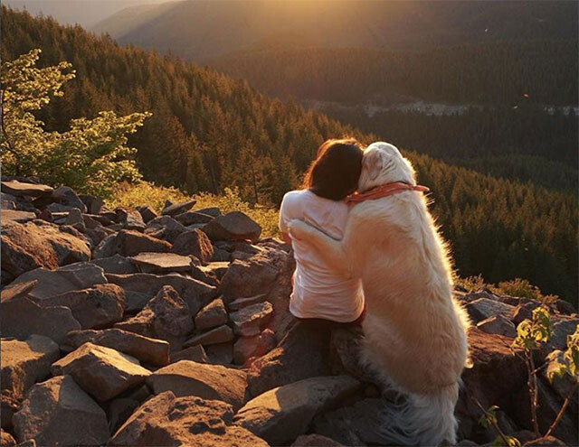 PTSDで不安に押しつぶされそうになっている飼い主にいち早く気が付いた犬、そっと寄り添いぎゅっと抱きしめる