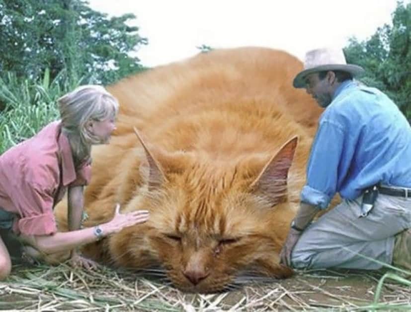jurassic_park_dinosaurs_01_e
