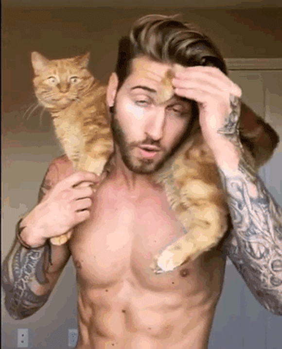 体を鍛えたい ならば猫だ 猫で筋トレをするカナダのイケメンモデル カラパイア 体を鍛えたい ならば猫だ 猫で筋トレをするカナダのイケメンモデル カラパイア