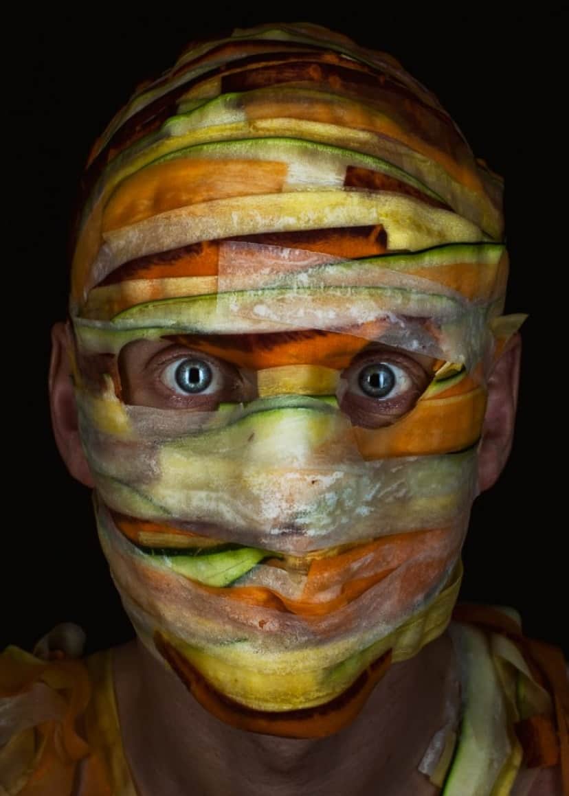 vegee2_e