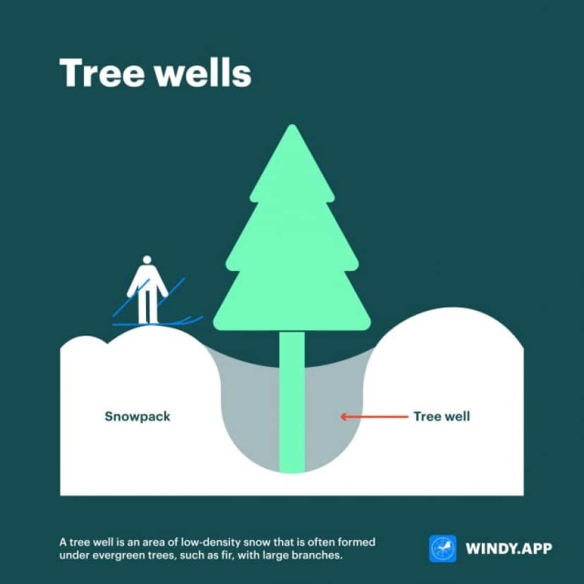 tree well_e