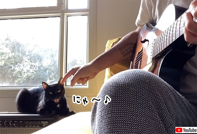 猫と共演できる喜び。飼い主のギターに合わせてニャ～♪