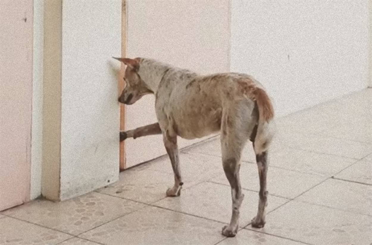 0_e0