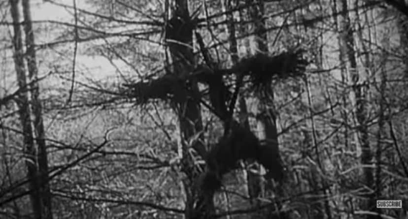 疑似ドキュメンタリーの先駆けとなった米映画 ブレア ウィッチ プロジェクト が世界にもたらした影響 カラパイア