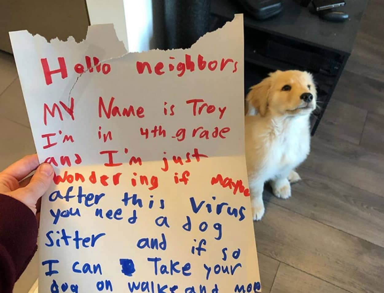 少年が犬の飼い主に手紙