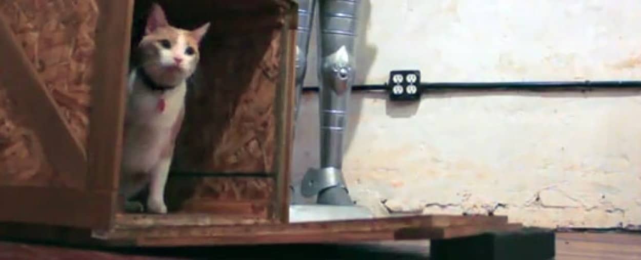 猫脱出系ピタゴラスイッチでハッピーホリデー カラパイア 猫脱出系ピタゴラスイッチでハッピーホリデー カラパイア