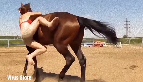 お嬢さん これならどうですか 馬になかなか乗れない女性に対し 馬がとった行動がジェントルウマン カラパイア お嬢さん これならどうですか 馬になかなか乗れない女性に対し 馬がとった行動がジェントルウマン カラパイア