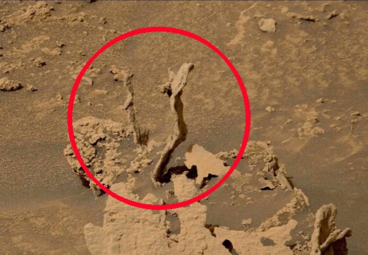 火星の地表からニョキッと生え出た謎の物体が発見される カラパイア