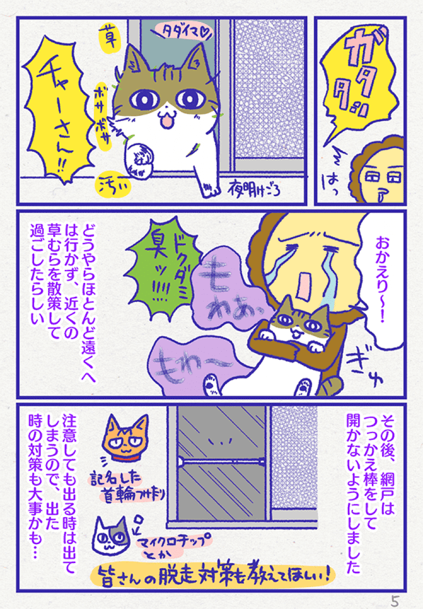 アレな生態系日常漫画「いぶかればいぶかろう」第41回:わりとアルアル