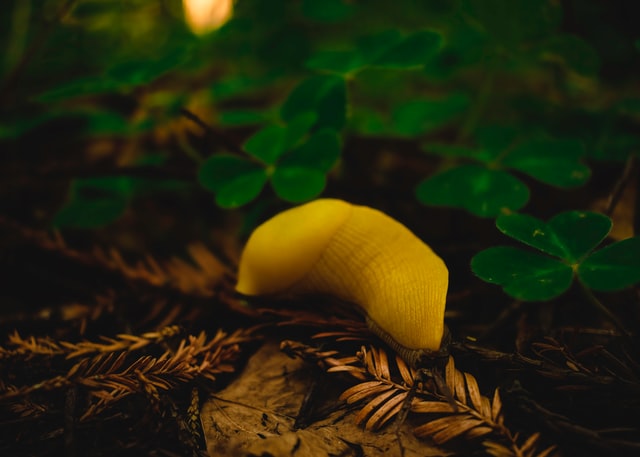 max-gotts-eD35-yno8Sg-unsplash