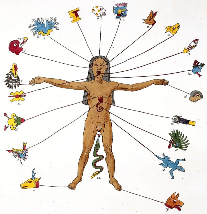 zodiac-man-3