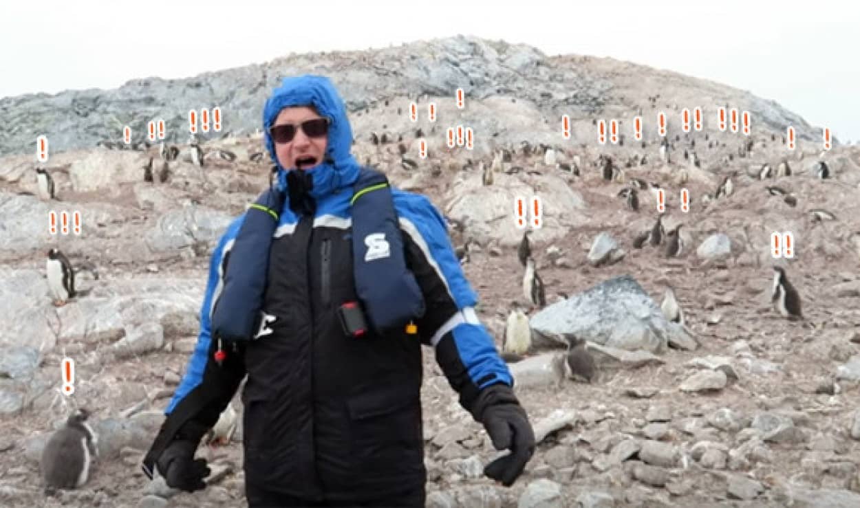 人間 南極のペンギンに歌聞かしたろ ペンギンハラスメント確定 カラパイア