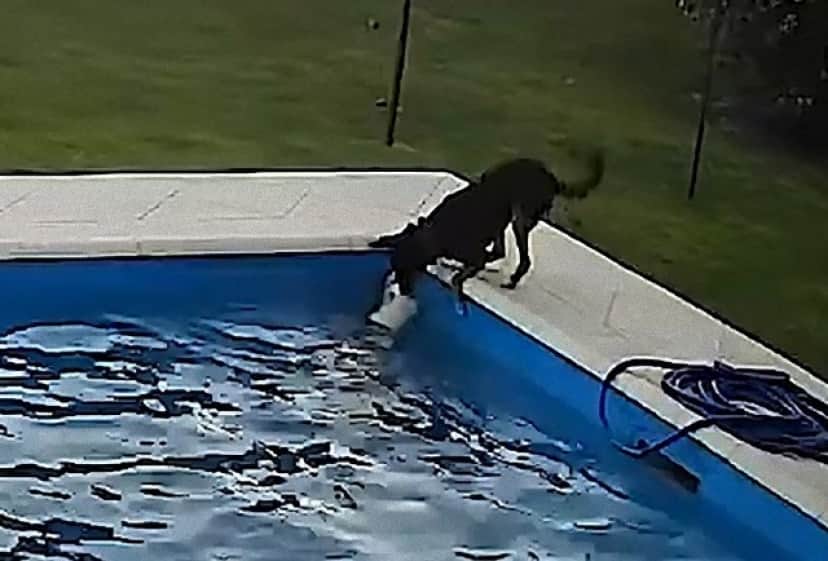 pool2_e
