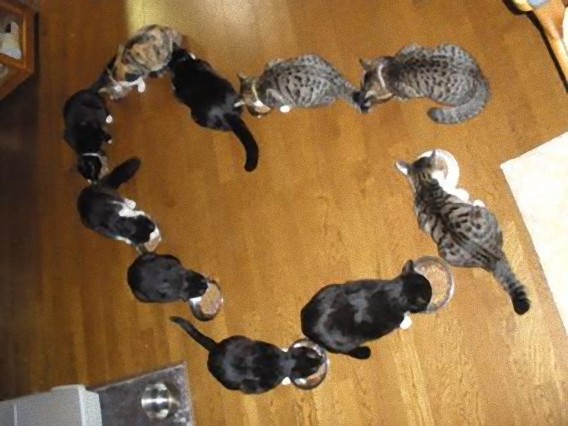 5_e