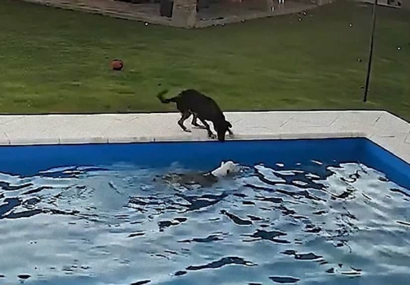pool1_e