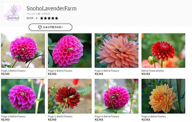 メルヘンの世界がここに ダリアの花がカエルたちの快適なホテルになっていた カラパイア