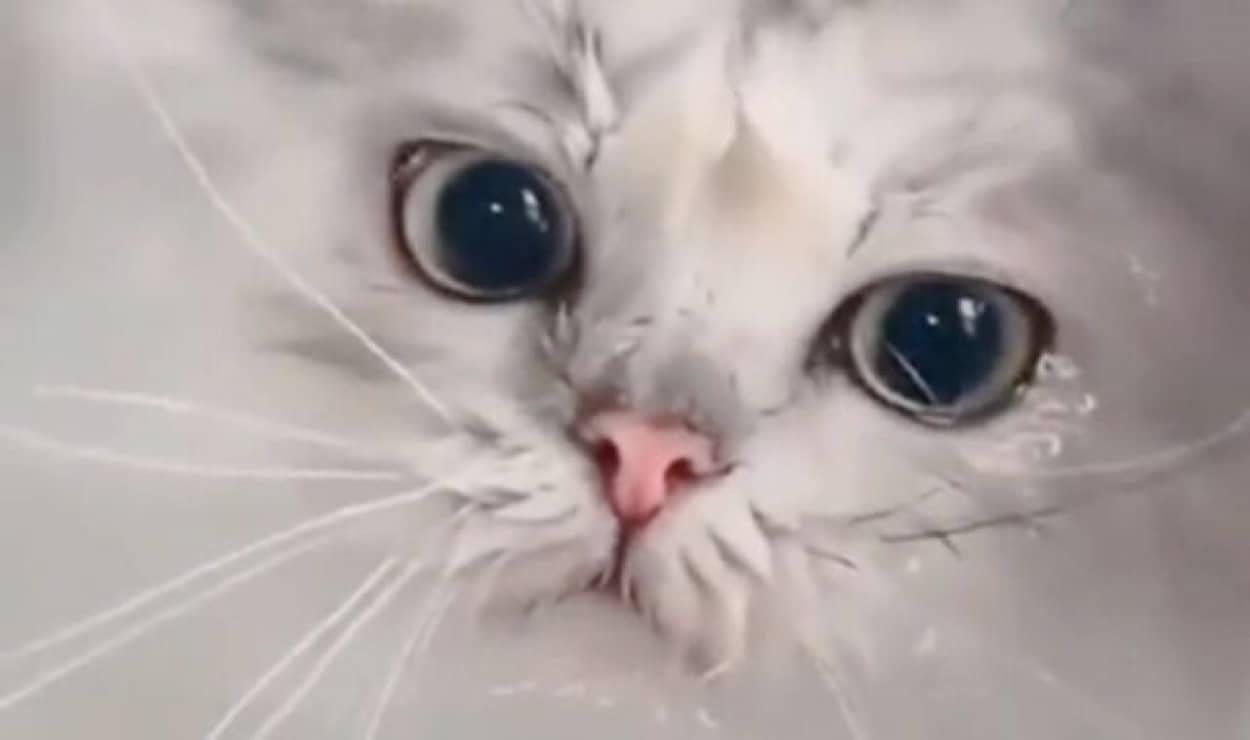 20240131_071315_batch