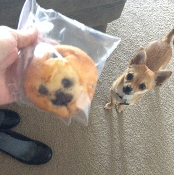 muffin_e