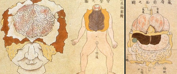 江戸時代の医学がわかる人体解剖図 病医学図 カラパイア