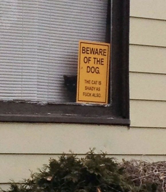 最大62％オフ！ ポスター絵画-警告標識-面白いヨークシャーテリア犬のホームセキュリティシステム標識-犬の庭の標識に注意してください-立ち入り禁止の私有財産金属標識フェンスプラーク壁の装飾20cmx30cm