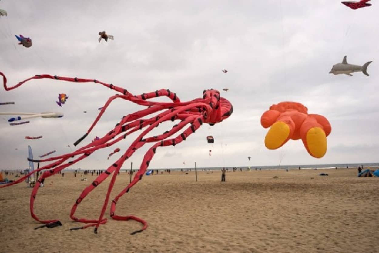 いろんなクリーチャーが空を飛ぶよ スペインの国際たこあげフェスティバル カラパイア