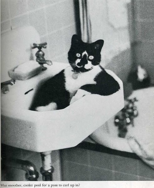 classic_life_magazine_photos_62