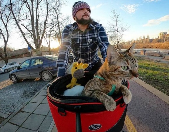 路上で偶然出会った野良猫と共に、自転車で世界を旅するサイクリスト