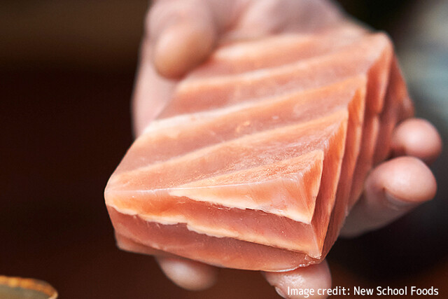 見た目も味も食感もサーモンそっくりの植物由来のサーモンが完成