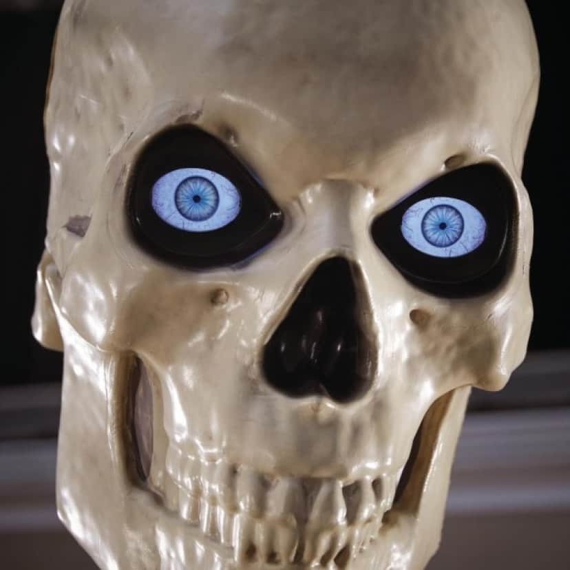 31