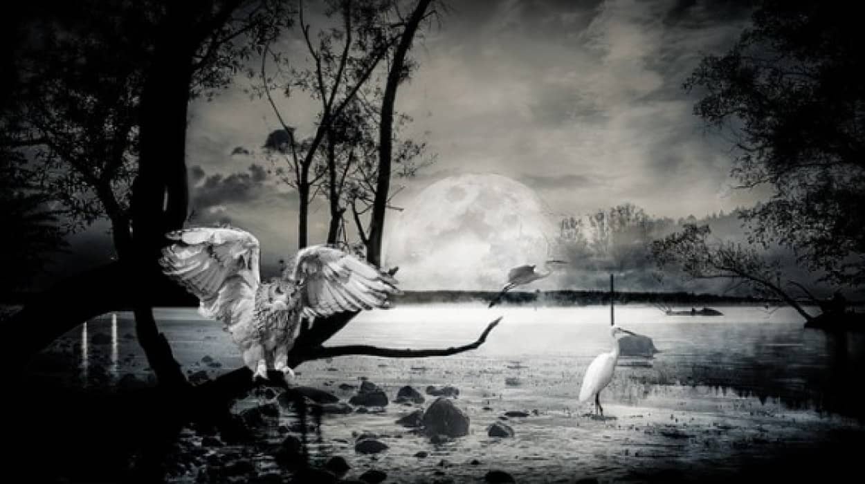 composing-2951336_640_e