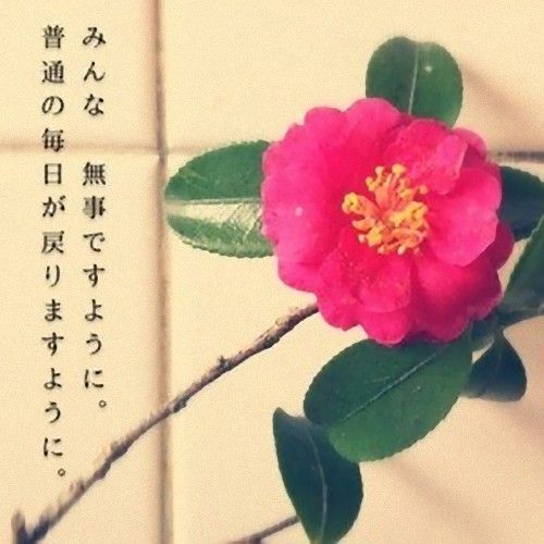 28_e