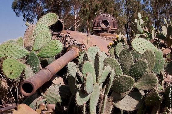 tank_cemetery_15