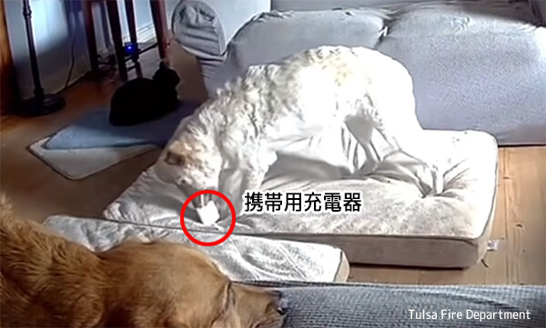 これは怖い！犬がモバイル充電器を噛んだことで発火、炎上。住宅火災を引き起こす
