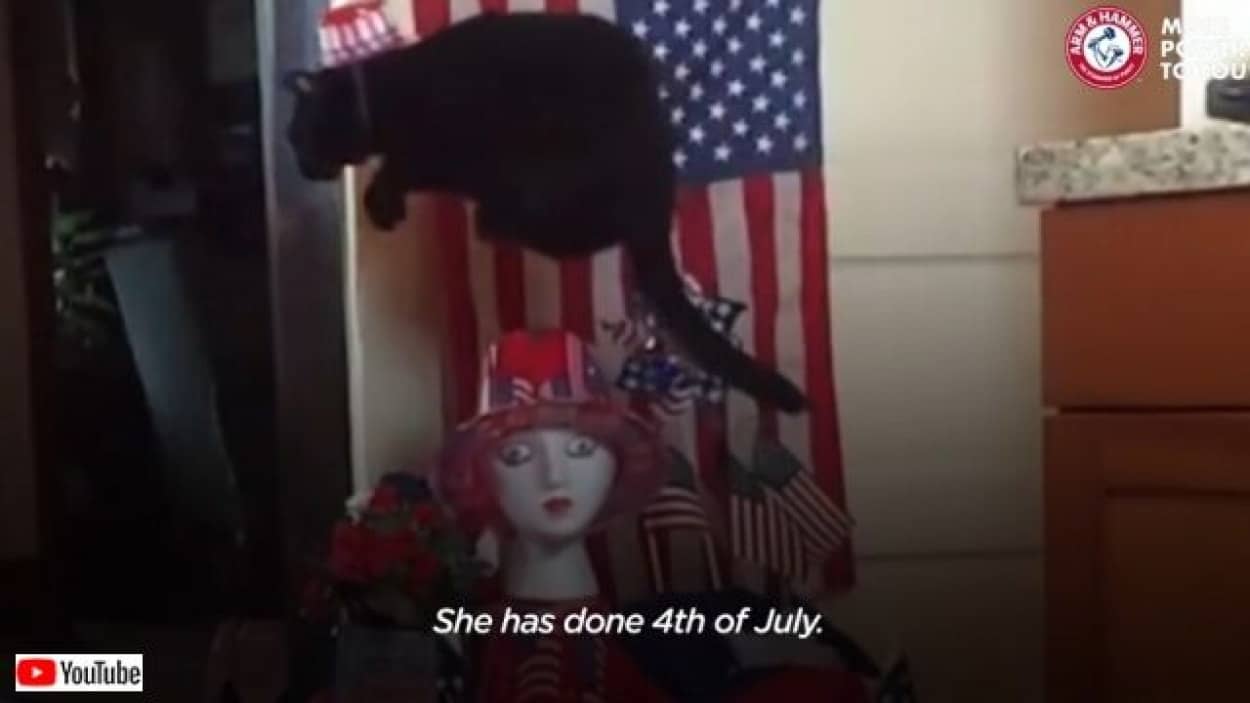 20220408_191617 (3)_batch