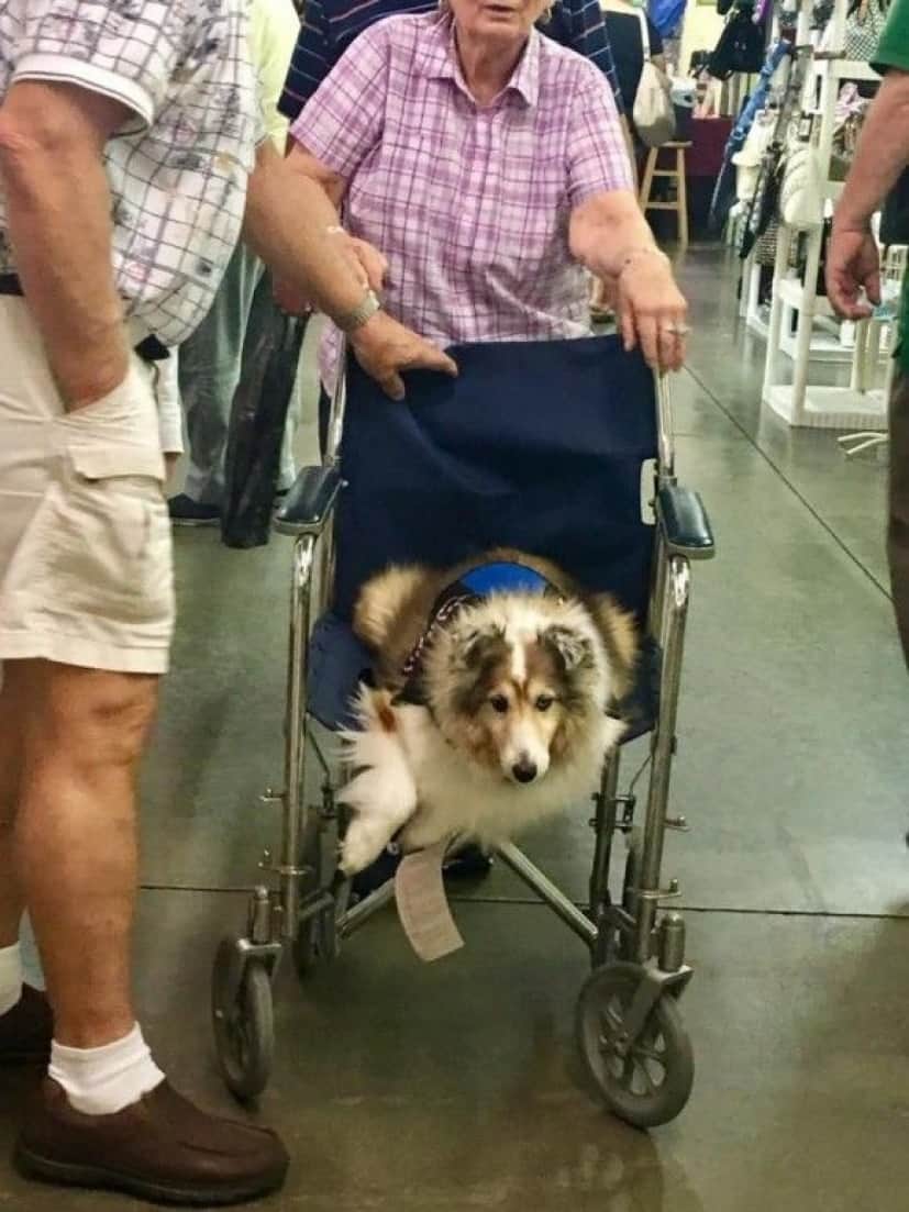 1_e