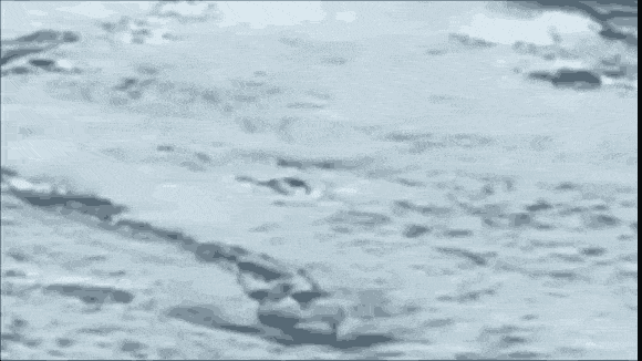 アイスランド伝説のuma ラーガルフリョゥト ワーム なのか ウネウネと動く謎の物体が湖面を泳ぐ姿が撮影される アイスランド カラパイア アイスランド伝説のuma ラーガルフリョゥト ワーム なのか ウネウネと動く謎の物体が湖面を泳ぐ姿が撮影される アイスランド カラパイア