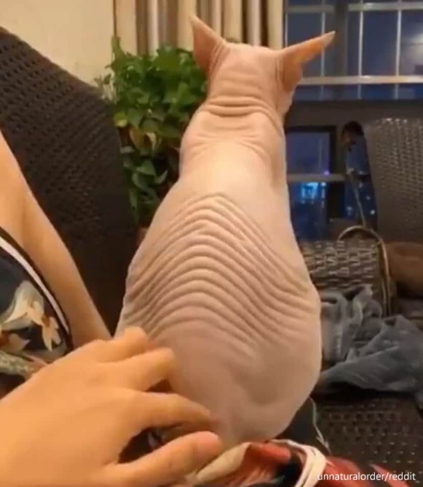 3_e4