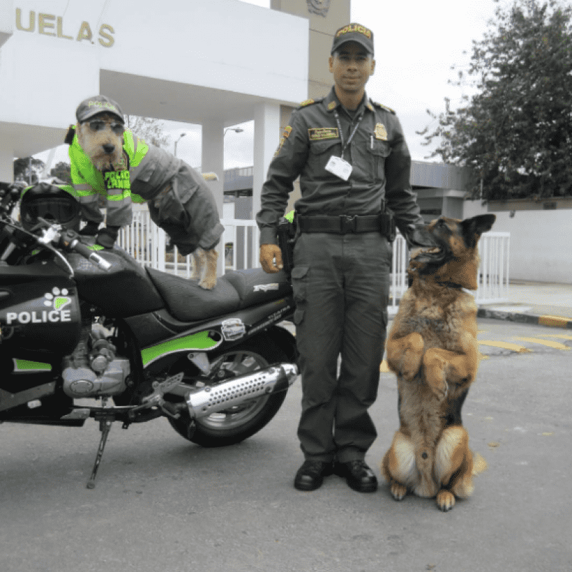 police7_e