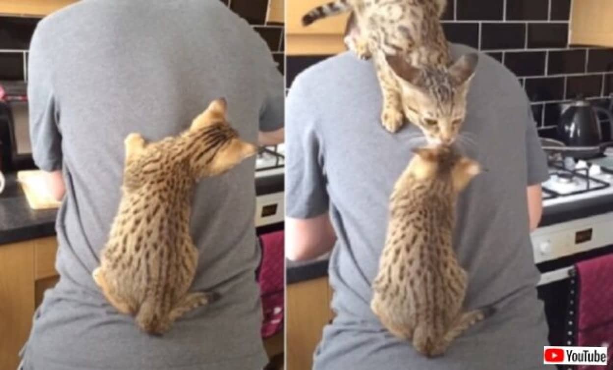 20230727_080304 (3)_batch