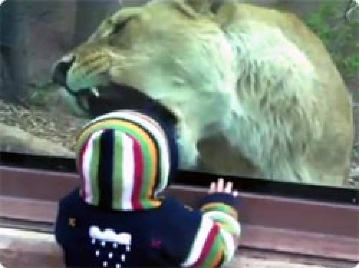 本気で人間の子どもを召し上がりたがってるライオン カラパイア