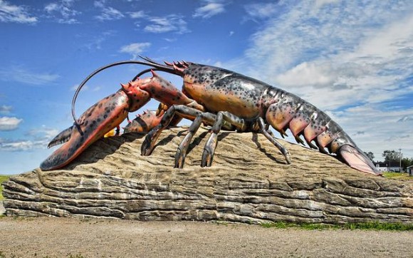 推定年齢100歳の巨大ロブスターが釣り上げられる